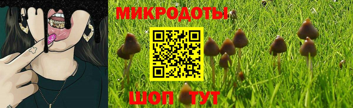Кропоткин  где найти   Вход с VPN  Псилоцибиновые грибы Psilocybe 